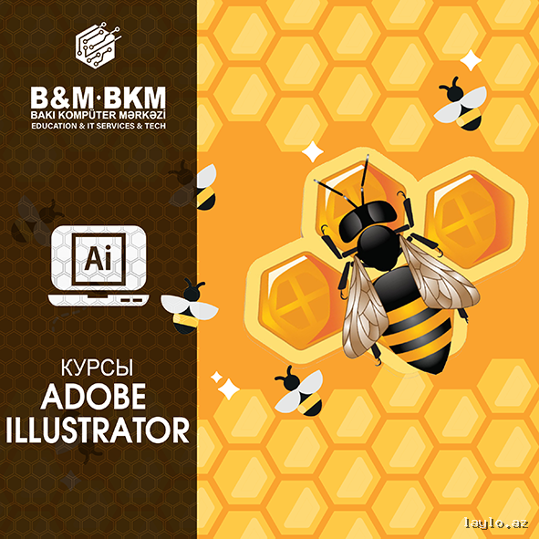 Курсы Adobe Illustrator