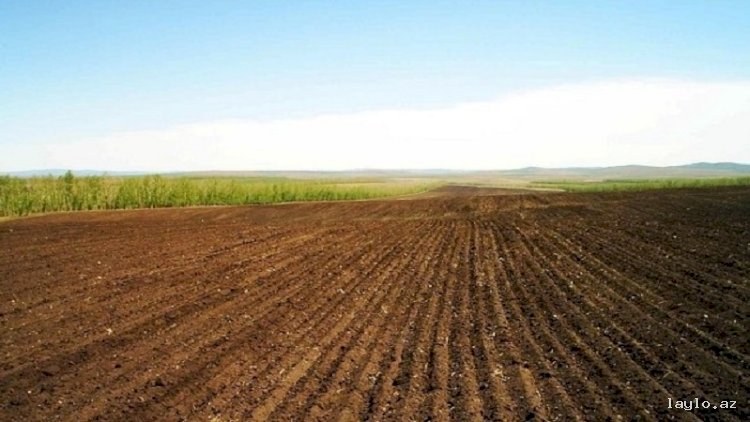 Satılır